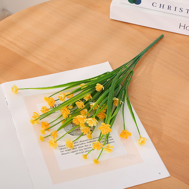 Camelia chuncao - Amarillo - al161 - 136 - 7