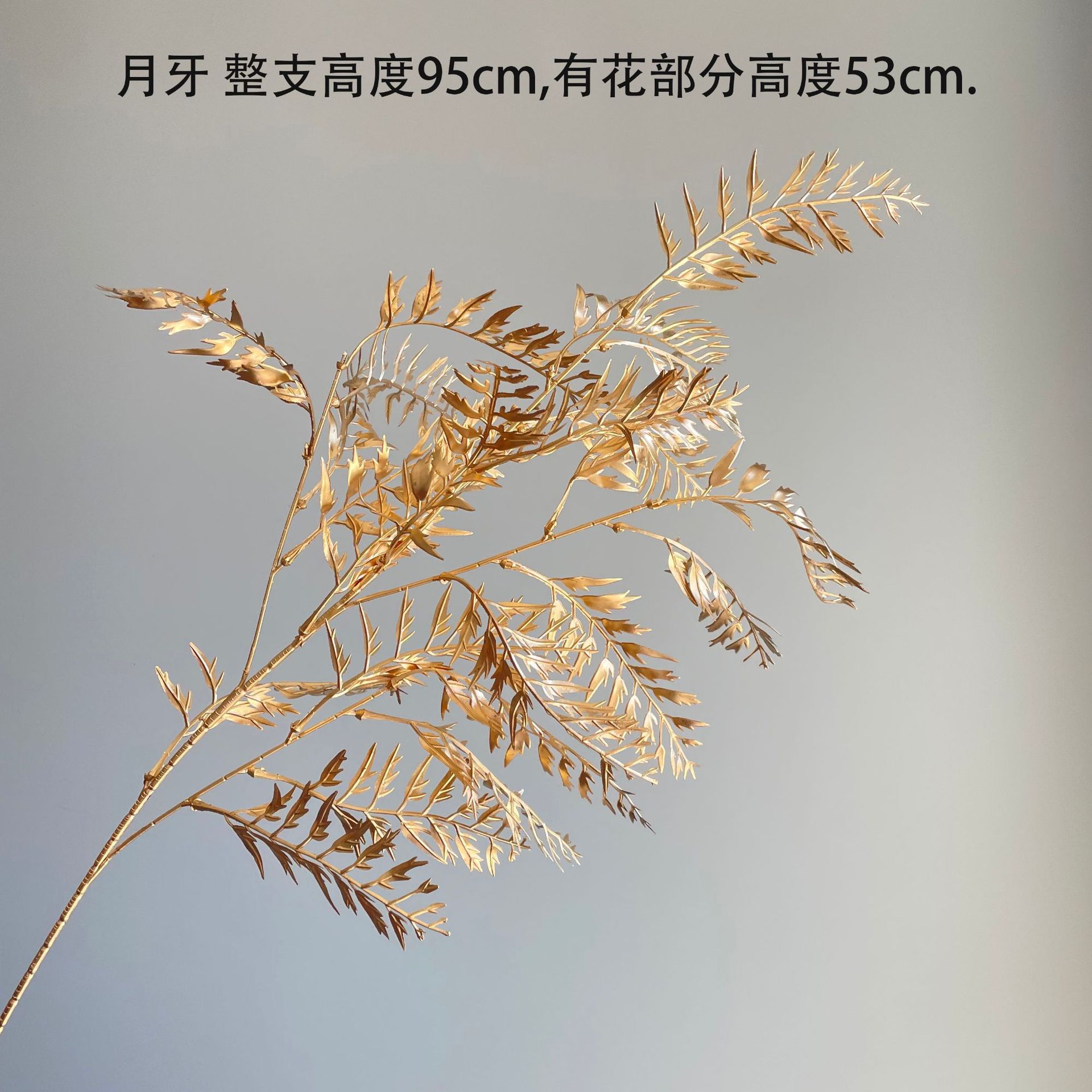초승달 잔디