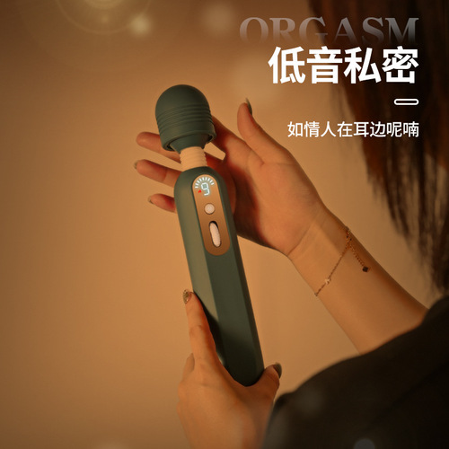 Laile AV stick LCD display vibrator women's heated and rechargeable second tide massage stick adult sex toy