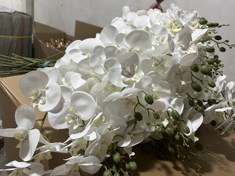 5af08ec4fbfe193fa57f5b122cceb0