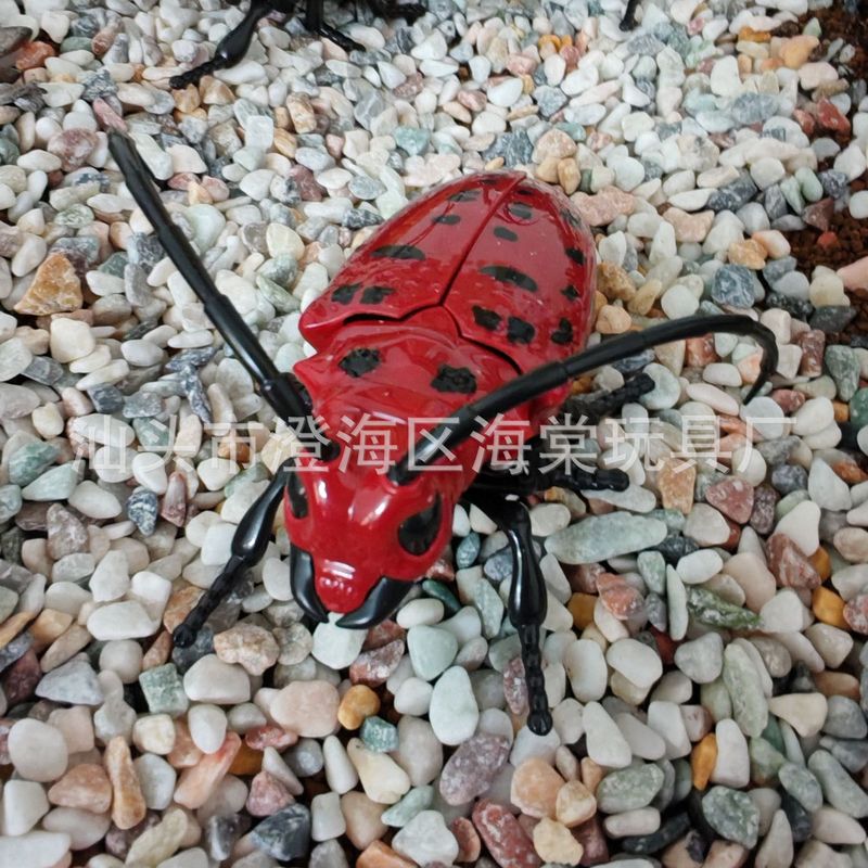 新款上链发条昆虫动物儿童认知小动物蚂蚱仿真模型独角仙小玩具|undefined