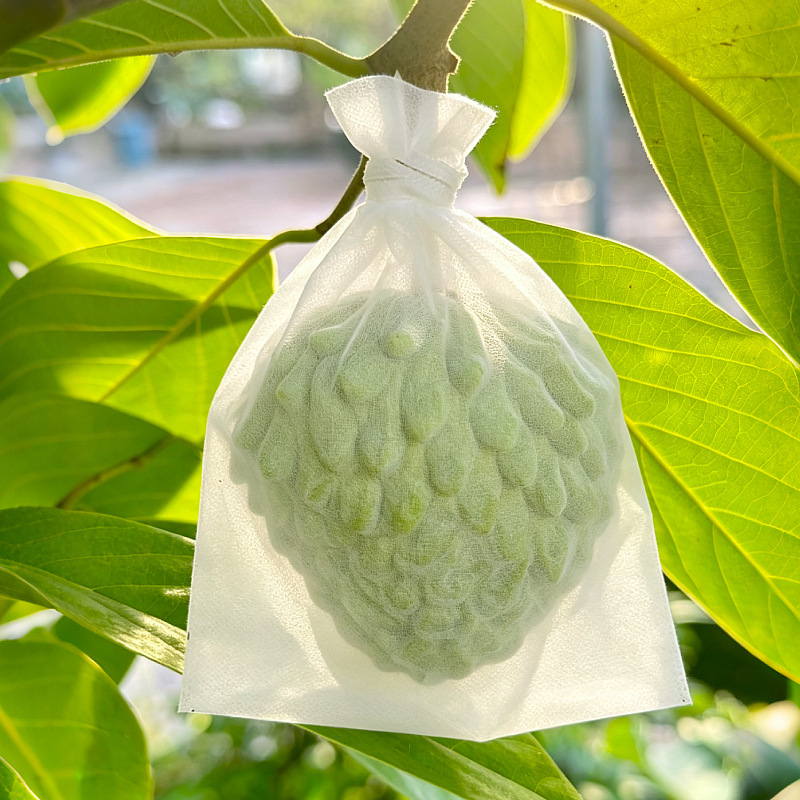 Special protective bags for fruit trees, fruit growing bags for Buddha's Head Fruit, insect-proof bags for Lotus Mist and Kate Mango, non-woven fabric bags with wire ties