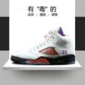 Aj5 knicks international flight