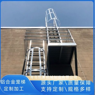 Aluminum Alloy Warehouse Climber Mobile Platform Ladder Warehouse Mute Wheel Shelf Ladder Pocking Stool Shelf Climber Ladder