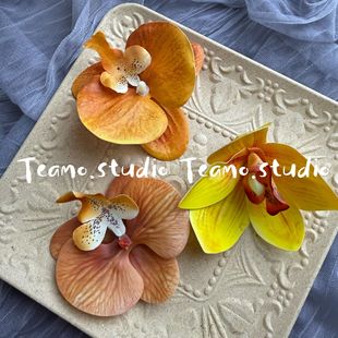 ���滨3d��ӡ�����mdiy�ll�A��߅�A��Ů�Շ����¿�С�t������