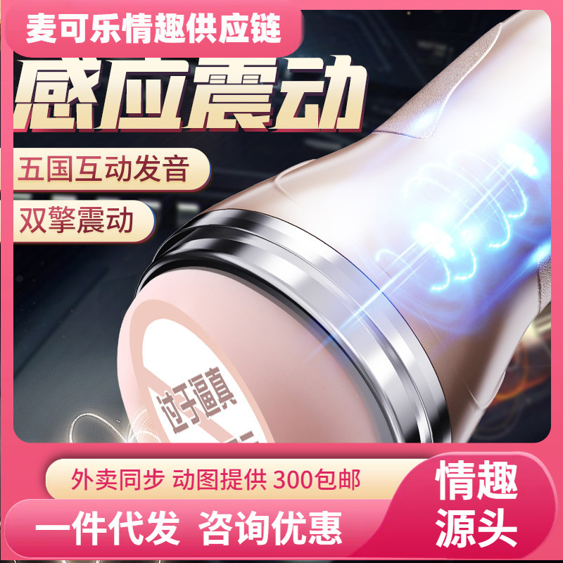 Fantasía de vibración de aviones de taza de doble choque de voz interactiva molde invertido entrenador masculino entrenador para adultos