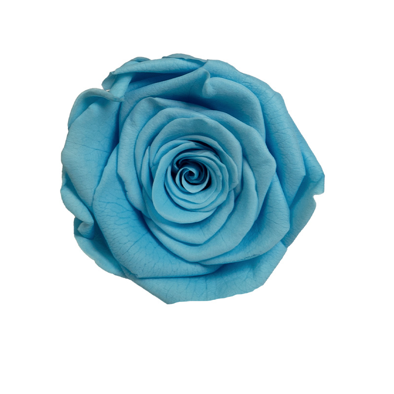 4-5cm 8 Flores, grado B DIY flores eternas, rosas eternas, Yunnan Kunming al por mayor, flores preservadas