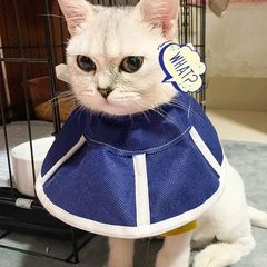 Elizabethan circle non-woven fabric summer cool cat and dog neck collar pet neck collar anti-biting ring anti-licking