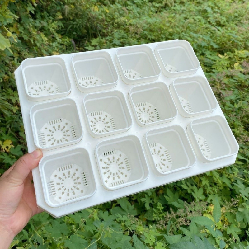 多肉植物専用ポット、プラスチック植木鉢、厚みのある大小の白い四角い多肉植物ポット、多肉植物の小さな植木鉢、苗ポット、正方形|undefined