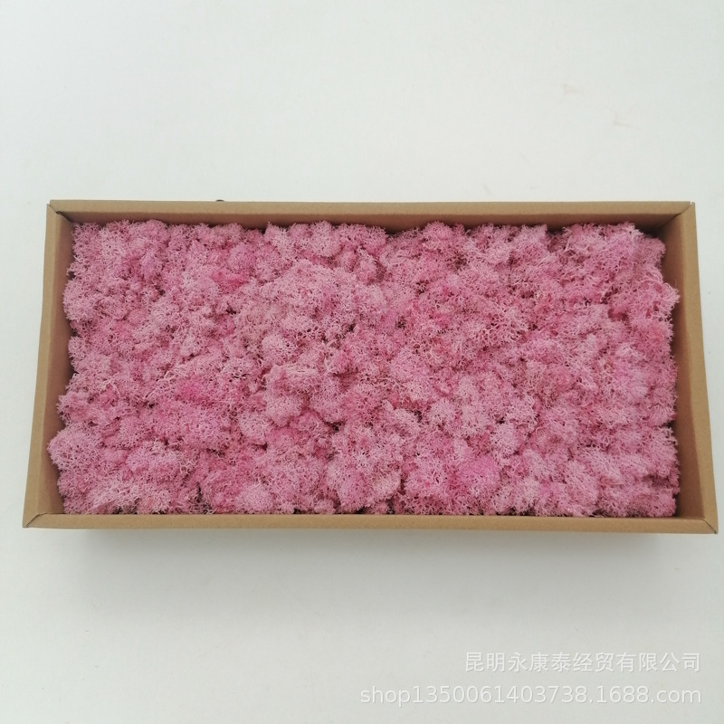 Musgo al por mayor de musgo peso neto 200g caja de regalo flores de musgo eternas accesorios para el hogar tiro ventas directas de la fábrica