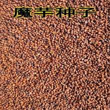 ߮aħһNXmĥħNm^ѻɏƷNѿ