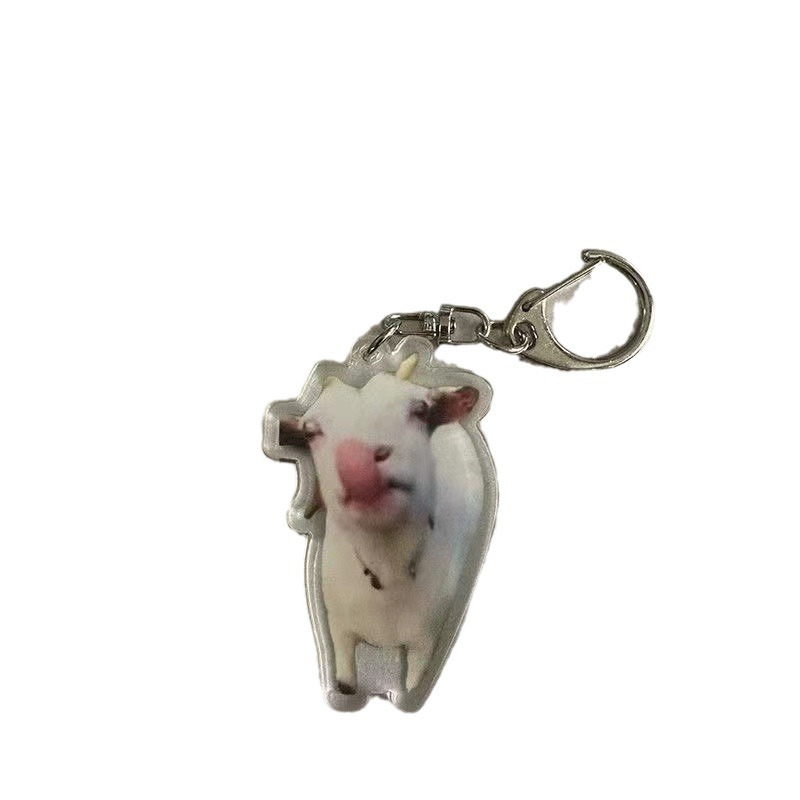 아크릴 키 체인 새로운 귀여운 고양이 밈 키 체인 우는 고양이 키 체인 잘못된 고양이 펜던트 키