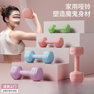 Dumbbells for Women, Fitness Equipment for Home, Slim Belly Barbell, Kettlebells, Children, Teenagers, Female Small Dumbbells, a Pair