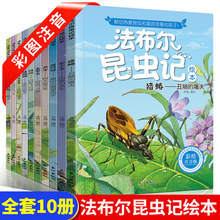 法布尔昆虫记全10册小学生课外读物儿童文学童话故事书彩图注音版