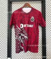 25-26 porto dragon red