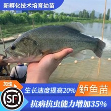 |~絭ˮ|~絭ˮ Bֳ ʳôߴˮ||w