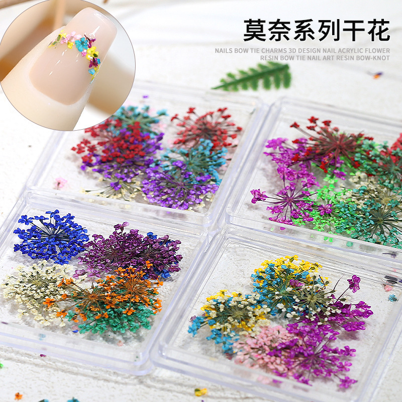 Cross-border nail art dried flower decoration mixed fresh small floral baby star snow bead flower diy accessories nail trinkets
