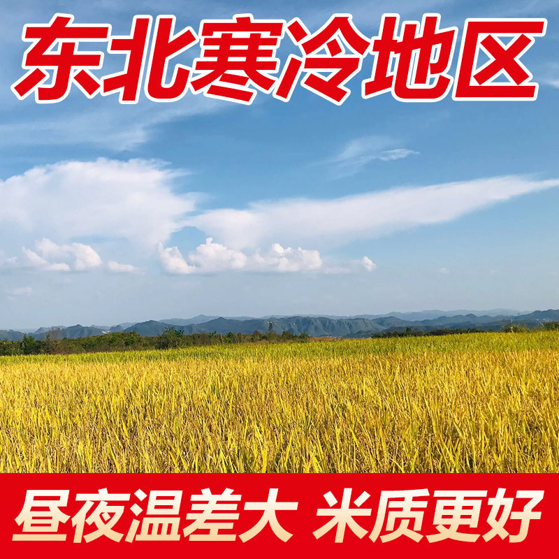 东北大米50斤装一袋新米珍珠米便宜20斤粳米商用批发25kg中国大陆|undefined