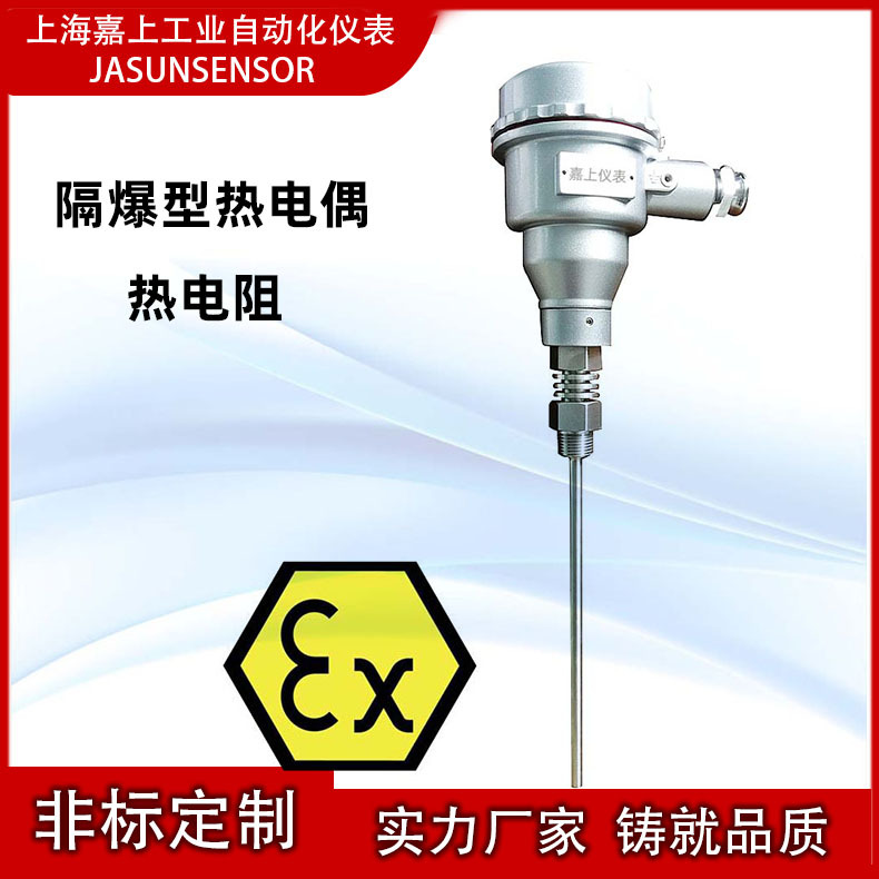 WZP-240防爆温度传感器防爆PT100热电阻提供防爆EX认证书