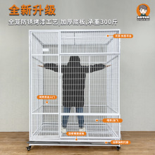 �ۯB���\���������䌦�\��ֳ�\���͑�����w�\�B�\�B�e�����ü���