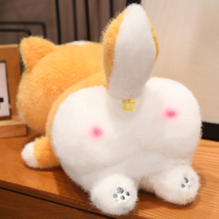 �¿ͨ����С��؈���Є���»���ż������С؈��ë�q������l