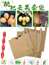 枇杷套袋桃子苹果柚子石榴芒果李子防水防鸟防虫透气双层梨袋