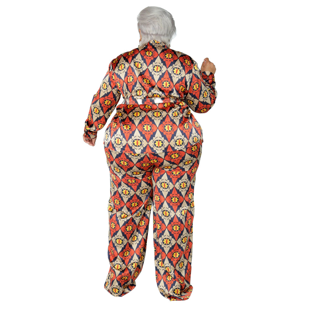 Daily Retro Printing Spandex Polyester Pants Sets Plus Size Two-piece Sets display picture 21