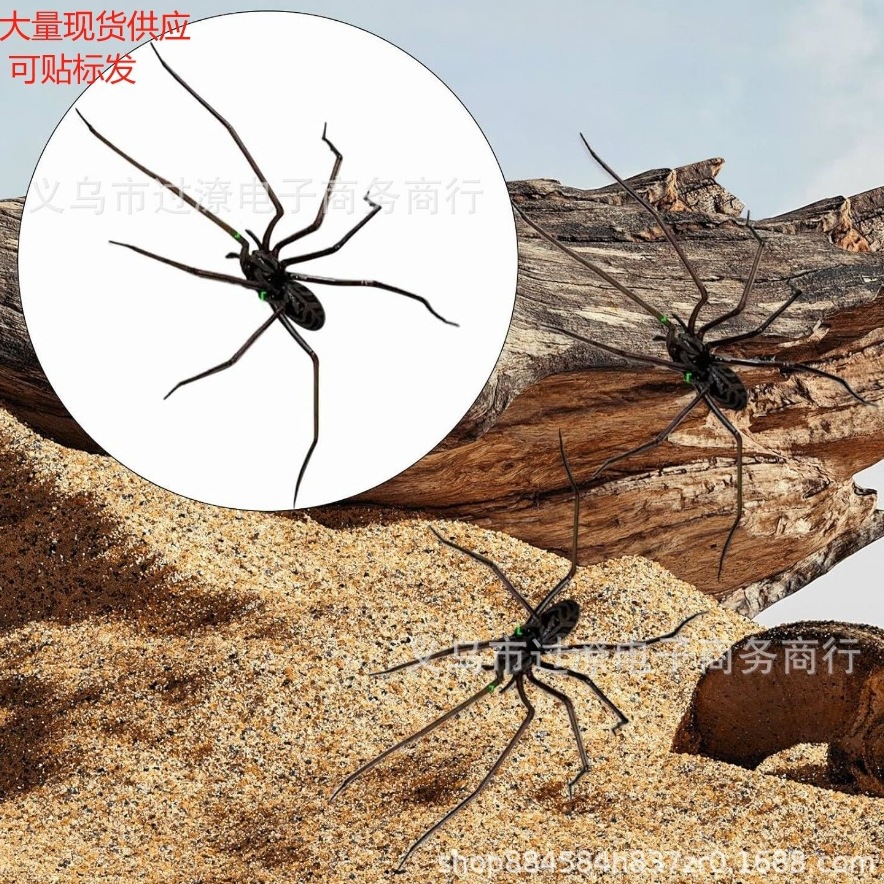 亚马逊创意新款2025 Spider Fridge Magnets家居蜘蛛磁铁冰箱装饰
