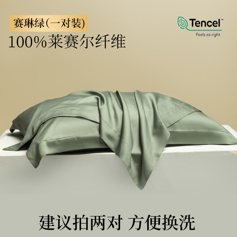 Funda de almohada de verano Tensi Funda de almohada de seda Un par de fundas de almohada de seda de hielo 48cmx74cm2024 Nuevo 2