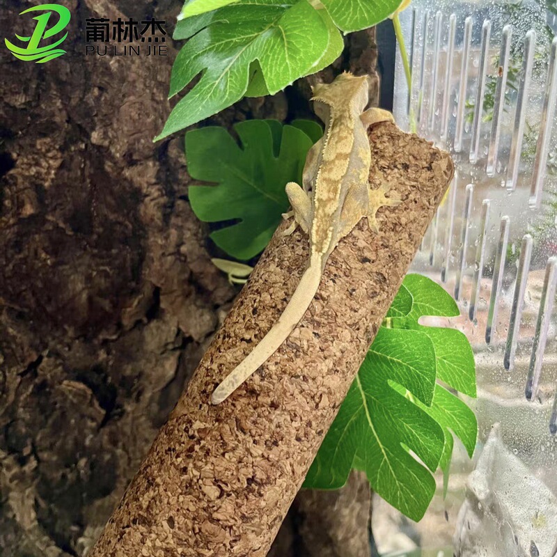 Climbing Pet Tree Climbing Cork Stick for Geckos and Giant Geckos Climbing Decoration Wooden Stick