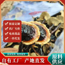 批发竹灵芝 防野生长腿灵芝原产地一键分销竹灵芝林芝网红竹灵芝