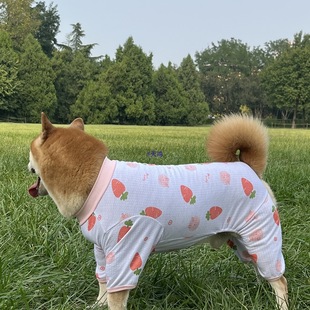 �д���Ȯ�����o�P��ӡ�����_�²�Ȯ��ë��ʿ��Ӽҷ���ë�����·�