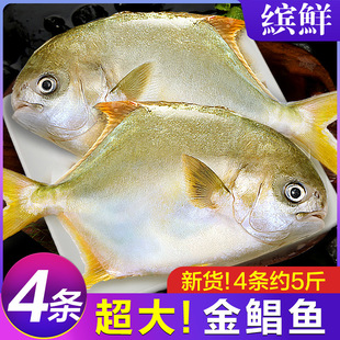 ���K�~���K�~�r��������~����~ƽ�~�y�~���K�c�~���r��S���l