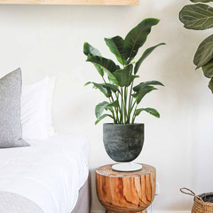 梵汐fun-g7外貿仿真3D綠植盆栽臥室客廳玄關美化裝飾牆貼紙自粘