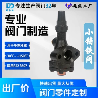 定制利永达铸铁截止阀 小型制冷剂R507A阀门 加工制造厂家直销