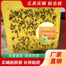 ����ω���T𤇊���T��ω�� ���@�˵ؽ�С��ωᘷ��T�����x