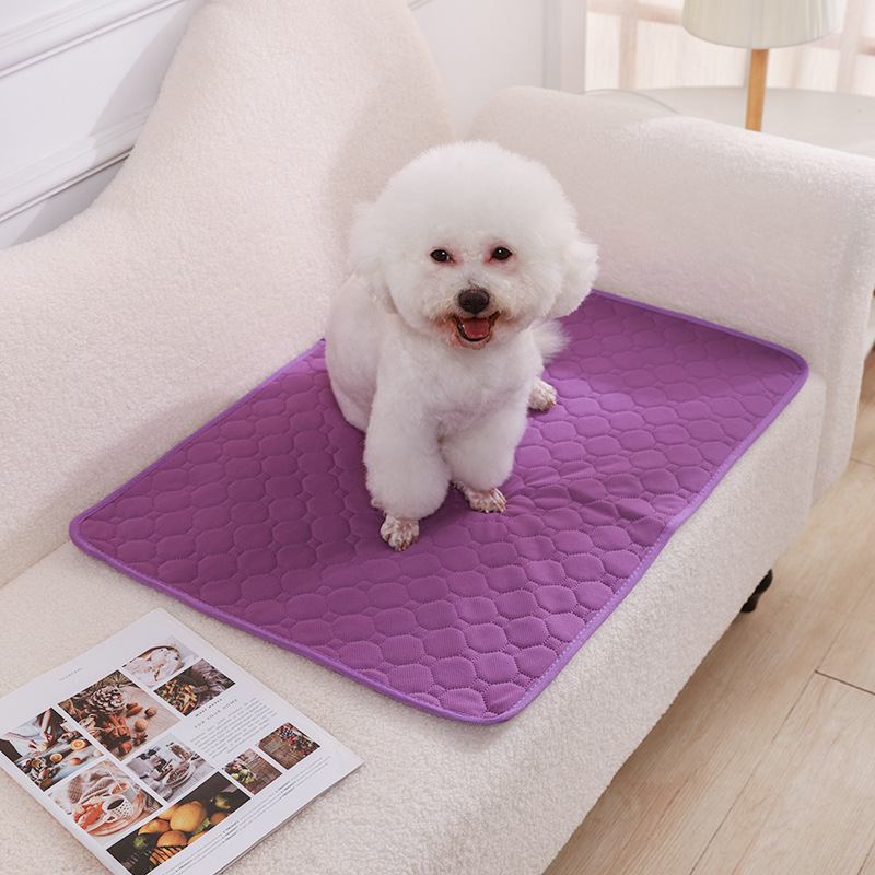 ペット用おむつは水洗いできます。犬用おむつは滑り止めで吸水しやすいです。|undefined