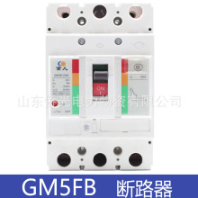 北京人民电器GM5FB-250HR 800R 250A400A直流塑壳断路器DC250V