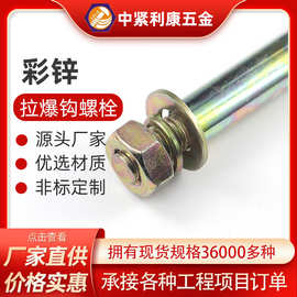 M8/M10/M12/M16拉爆螺钉膨胀丝碳钢膨胀螺栓内螺丝批螺杆全螺纹