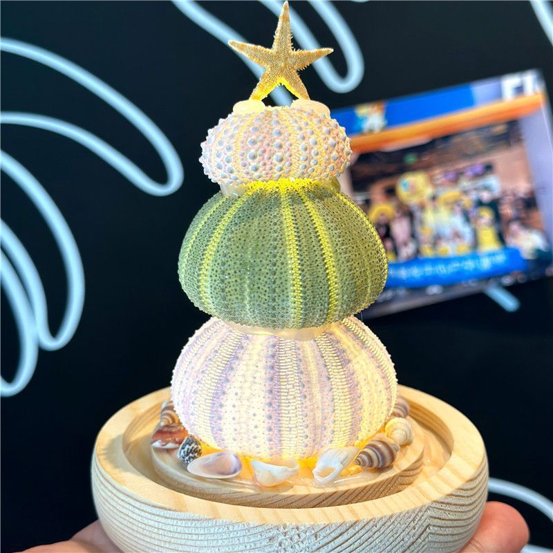新年春节摆件贝壳diy海胆壳发光小夜灯材料包生日礼物送女友|undefined