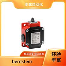 ����˹̹ bernstein Ƥ����λ�_�P D-U11Z RW ��ͣ�O��