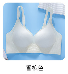 Ventas directas de fábrica comercio electrónico transfronterizo Sudeste de Asia Vietnam Tailandia damas verano ligero y cómodo sujetador de colección lateral