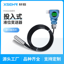 PCM260B 投入式液位变送器4-20mA/RS485静压式数显液位变送传