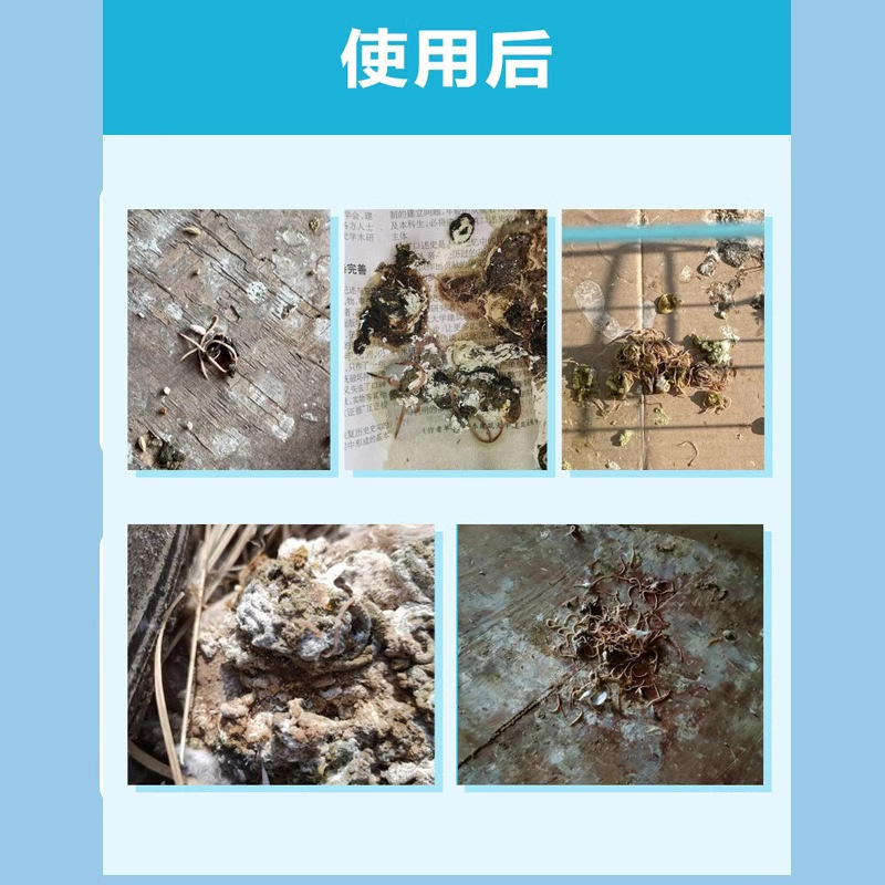 鸽子体内外驱虫药鸽子球虫药线虫蛔虫毛滴虫专用打虫药全虫清鸽药|undefined