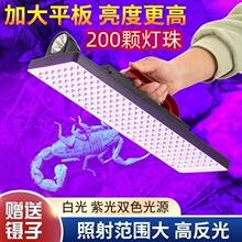 照蝎子灯强光超亮充电紫光灯手提式超长续航大平板豆虫灯厂家