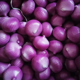 �������[�������t�������������[�����߲�ģ���r�ҙ����b���