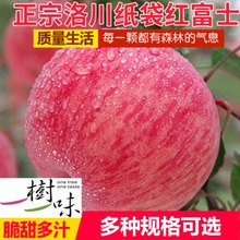 冰糖心蘋果精選陝西洛川紅富士5/10斤裝整箱新鮮禮盒裝批發亞馬遜