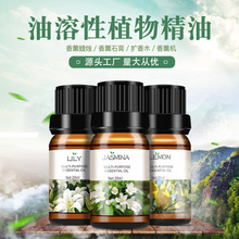 单方精油扩香石香薰机适用精油 高浓度香薰精油补充液 现货批发