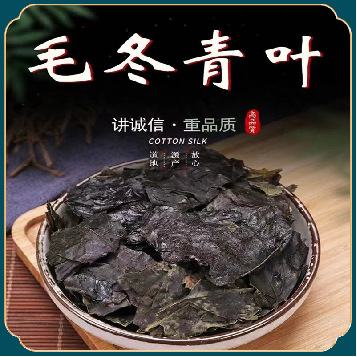 江湖地摊云南大叶毛冬青苦丁茶老叶毛冬青苦甘叶青山绿水