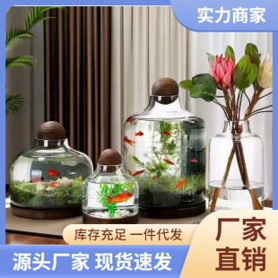 Micro landscape ecological bottle glass fish tank creative DIY landscape fish shrimp water straw tank Japanese style wooden tray desktop office